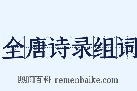 全唐诗录组词是什么意思的图片